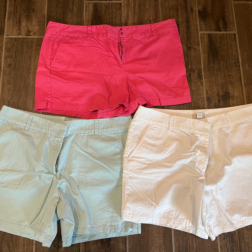 Women’s size 16 Loft Short bundle